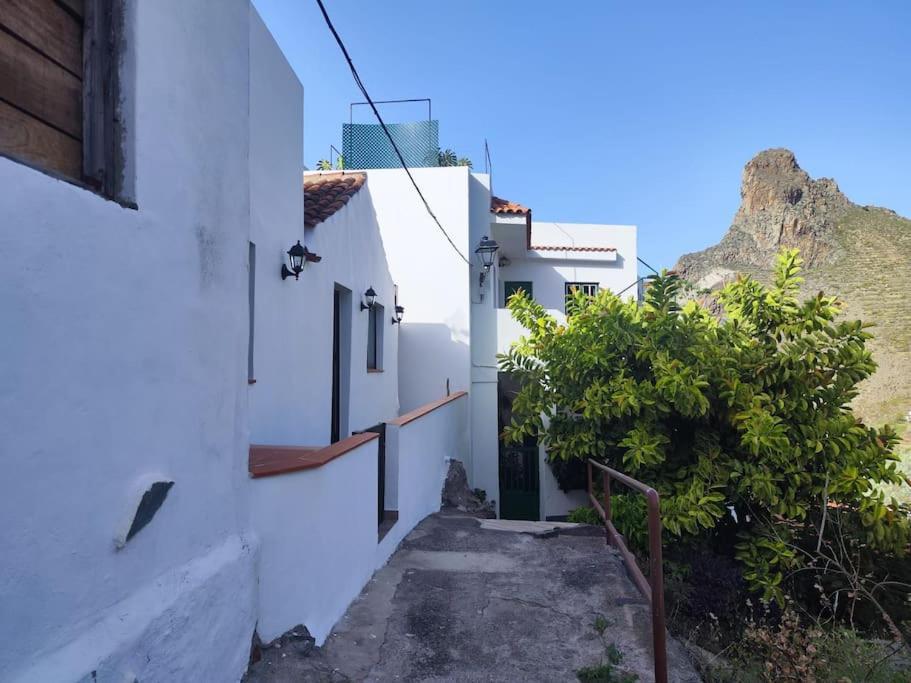 圣克鲁斯-德特内里费La Casa Vieja别墅 外观 照片