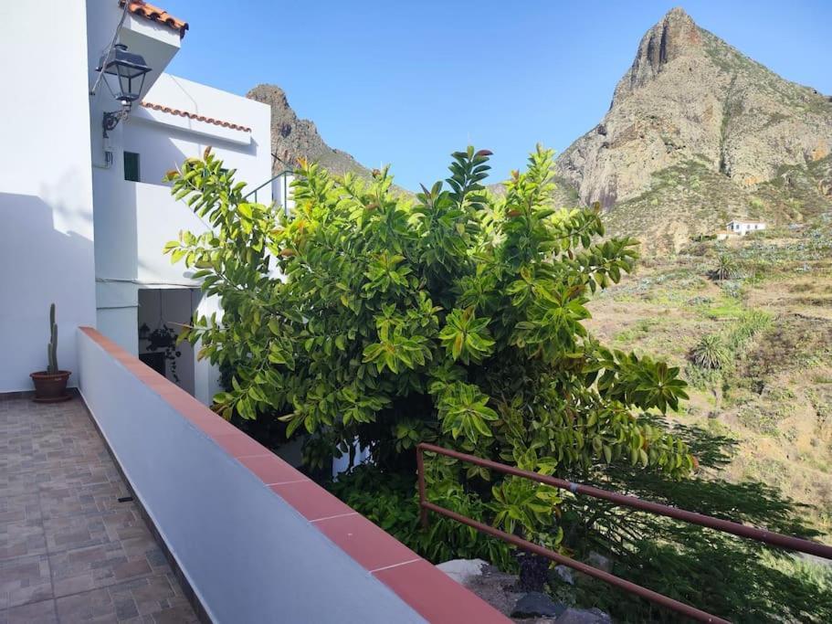 圣克鲁斯-德特内里费La Casa Vieja别墅 外观 照片